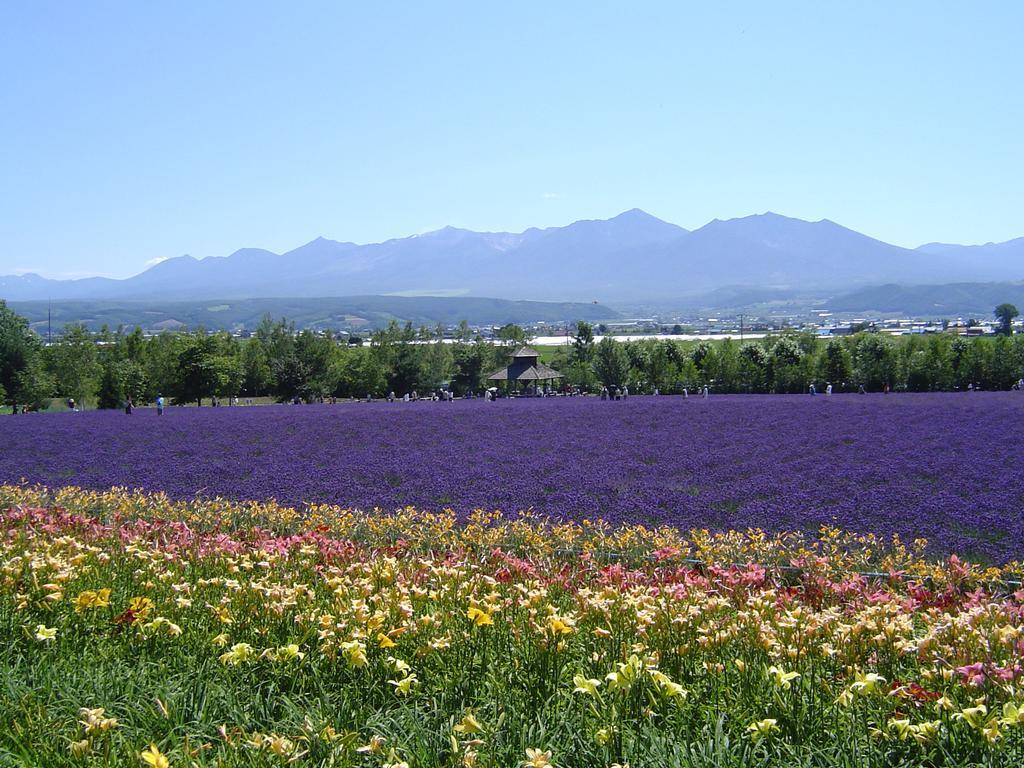 Furano Prince Hotel Bagian luar foto