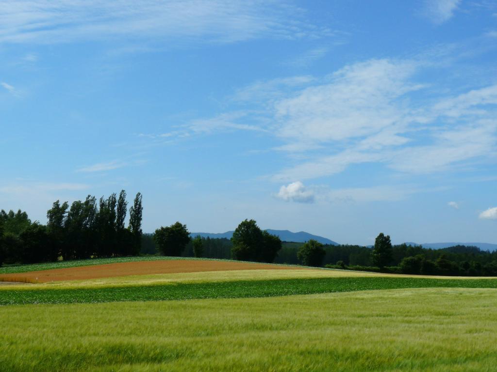 Furano Prince Hotel Bagian luar foto